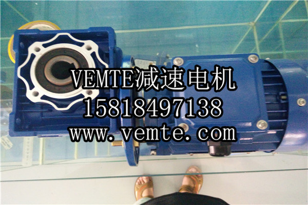 蝸輪減速機，渦輪減速機,RV減速電機 (2)