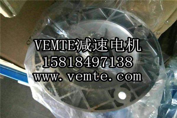 VEMT減速機(jī)電機(jī)制造廠(chǎng)家 (10)